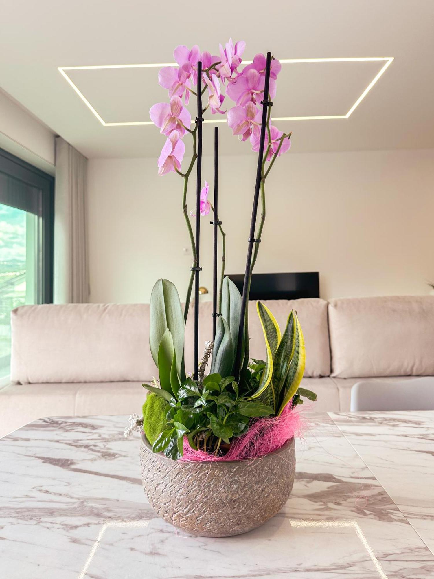 Flora Guest House Marco de Canaveses Bagian luar foto